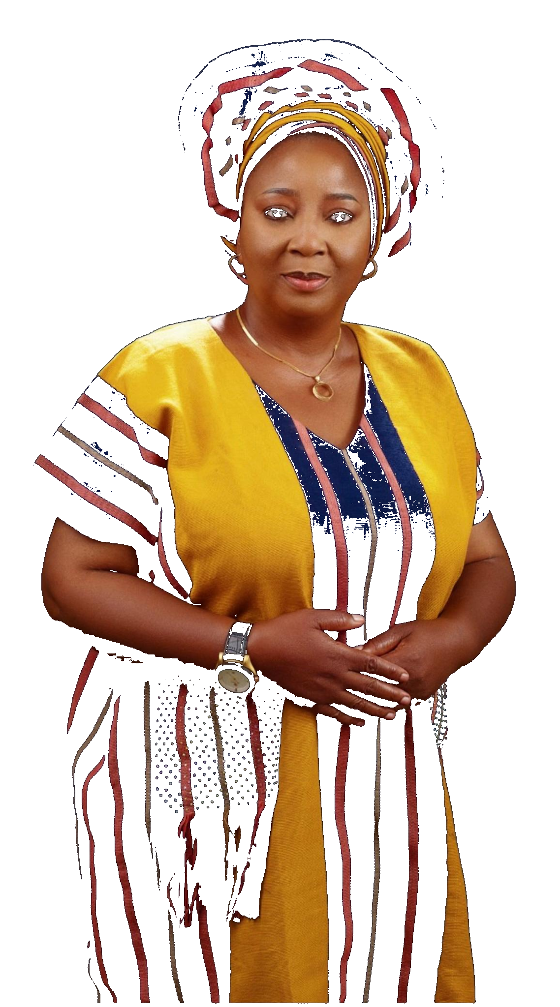 Jesfem team in a professional meeting